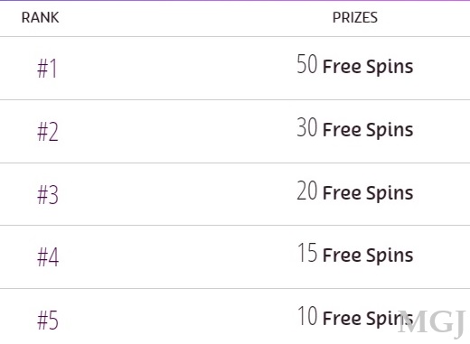 Freerolls Slots Tournament - Screenshot of PlayOJO Freeroll Rank and Prizes - MGJ